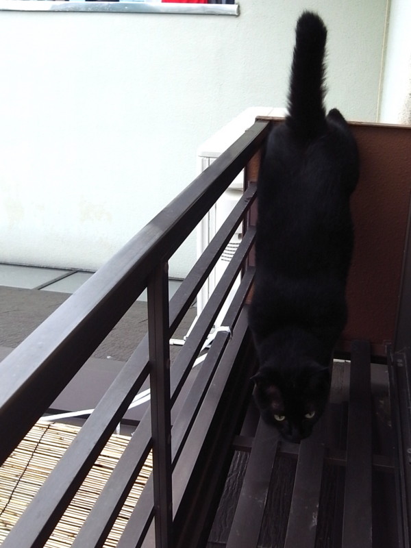 20130715091018