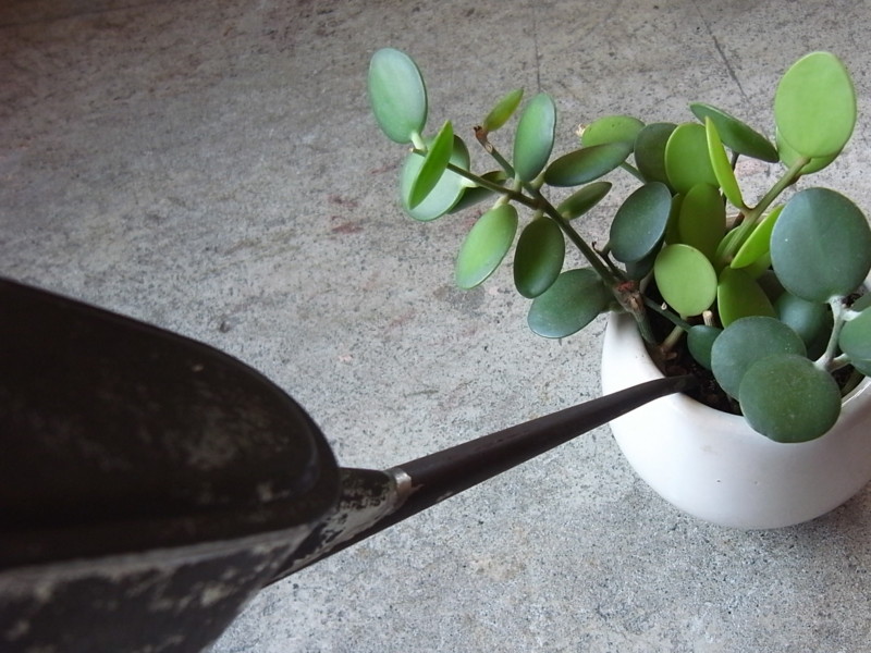f:id:banashow:20130721132609j:image