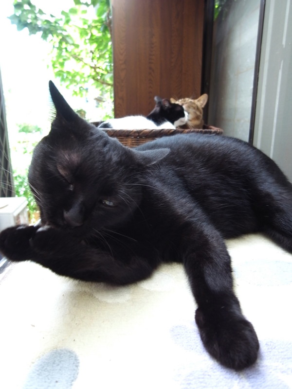 f:id:banashow:20131007085404j:image