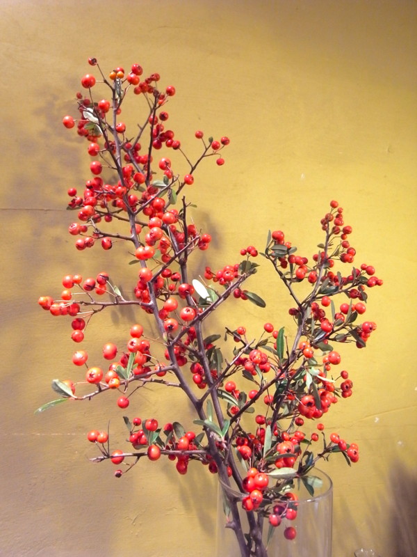 f:id:banashow:20131207162039j:image