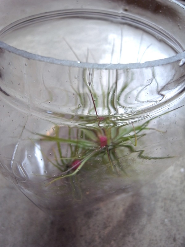 f:id:banashow:20140222131136j:image