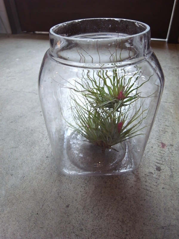 f:id:banashow:20140222131215j:image