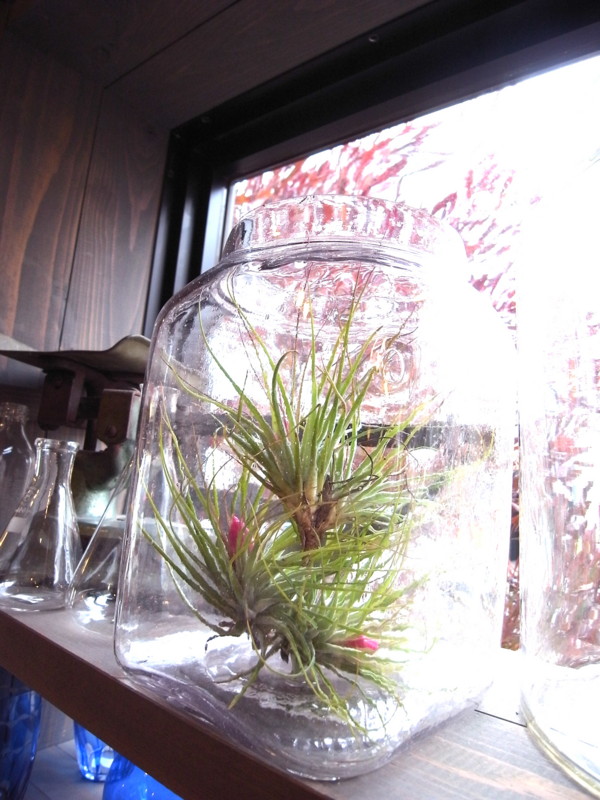 f:id:banashow:20140222131258j:image