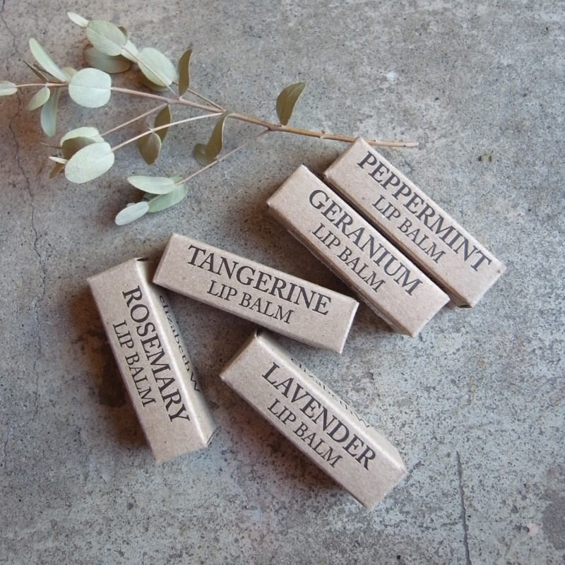 f:id:banashow:20140311150327j:image f:id:banashow:20140311150327j:image