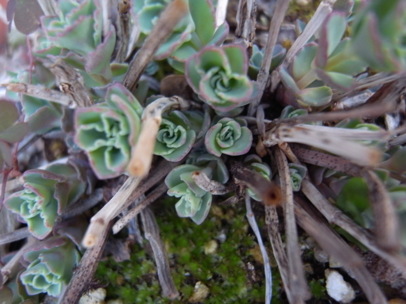 f:id:banashow:20140324155408j:image