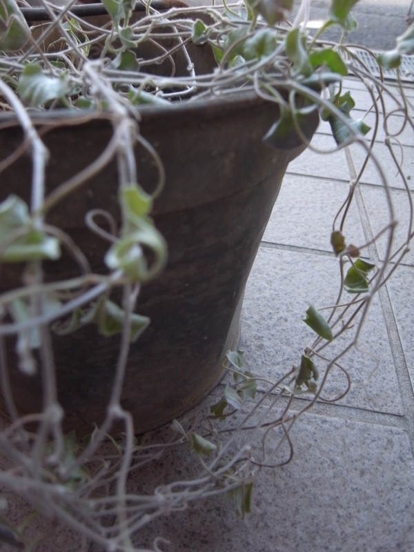 f:id:banashow:20140328144438j:image f:id:banashow:20140328144438j:image