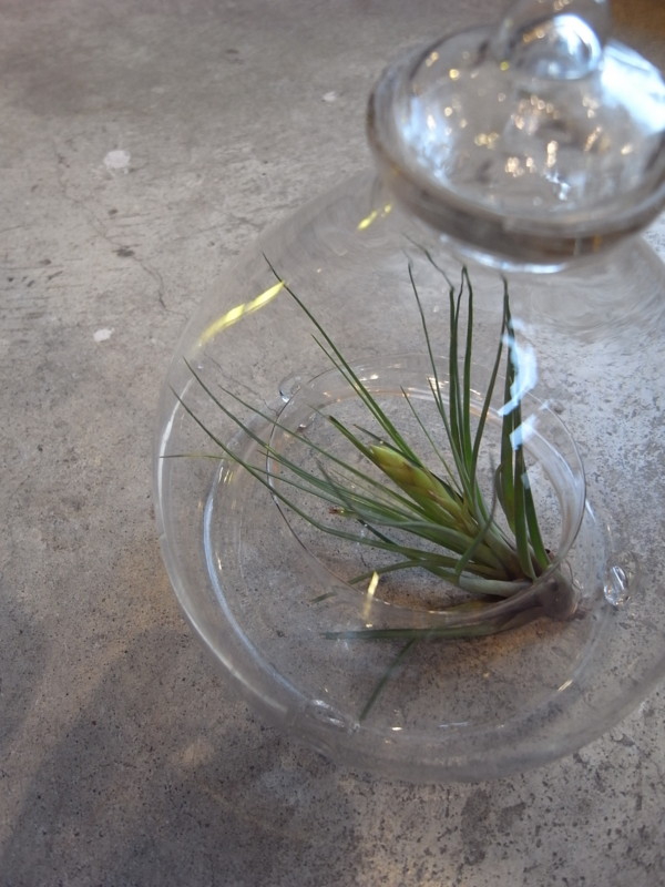 f:id:banashow:20140330141140j:image