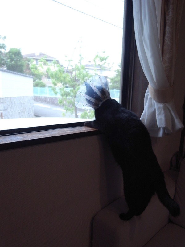 f:id:banashow:20140720084859j:image
