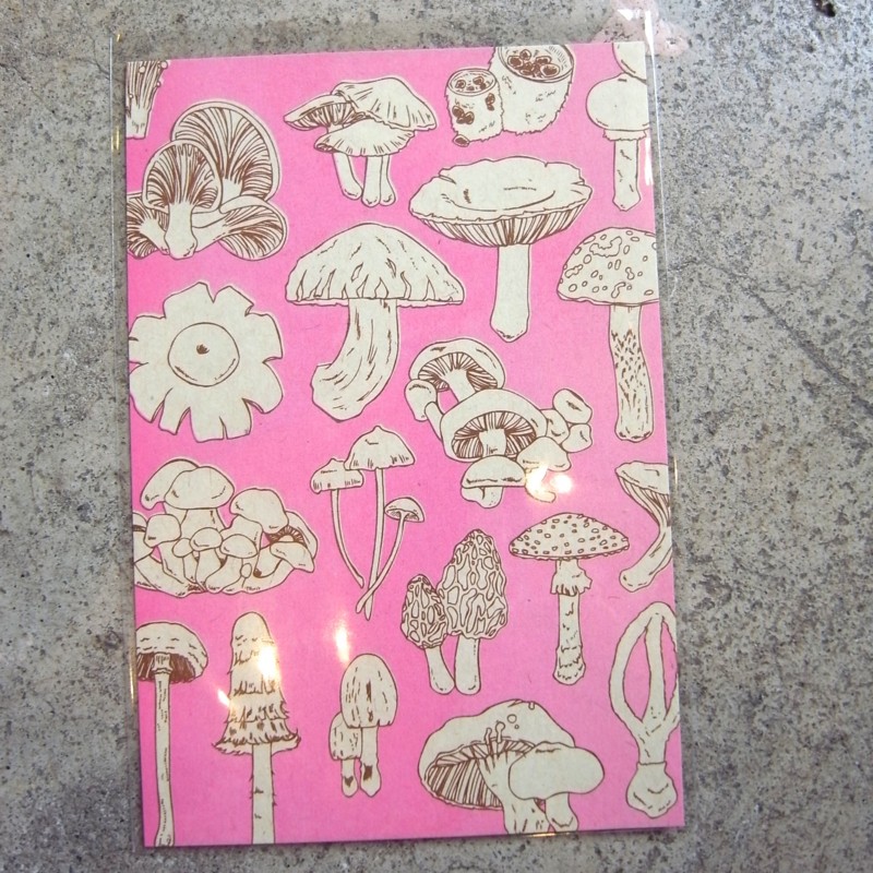 f:id:banashow:20140919152616j:image f:id:banashow:20140919152616j:image