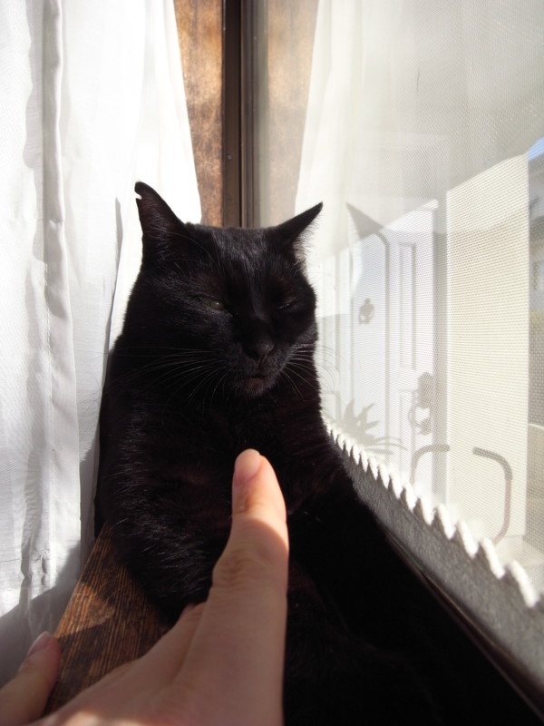f:id:banashow:20150101100350j:image