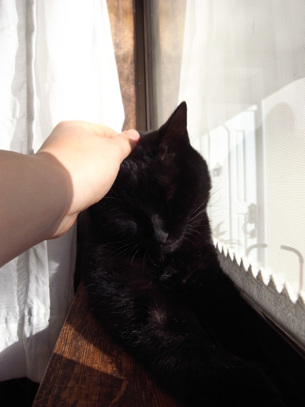 f:id:banashow:20150101100354j:image
