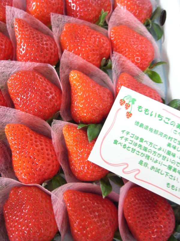 f:id:banashow:20150101131242j:image