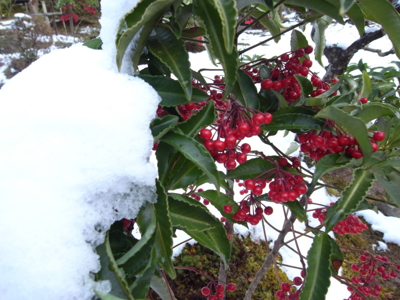 f:id:banashow:20150102142444j:image