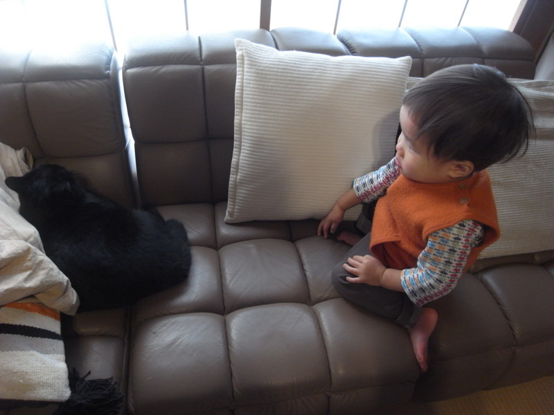 f:id:banashow:20150104110433j:image