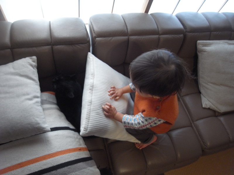 f:id:banashow:20150104110446j:image