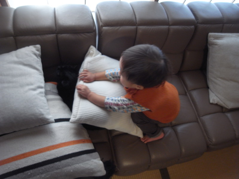 f:id:banashow:20150104110448j:image
