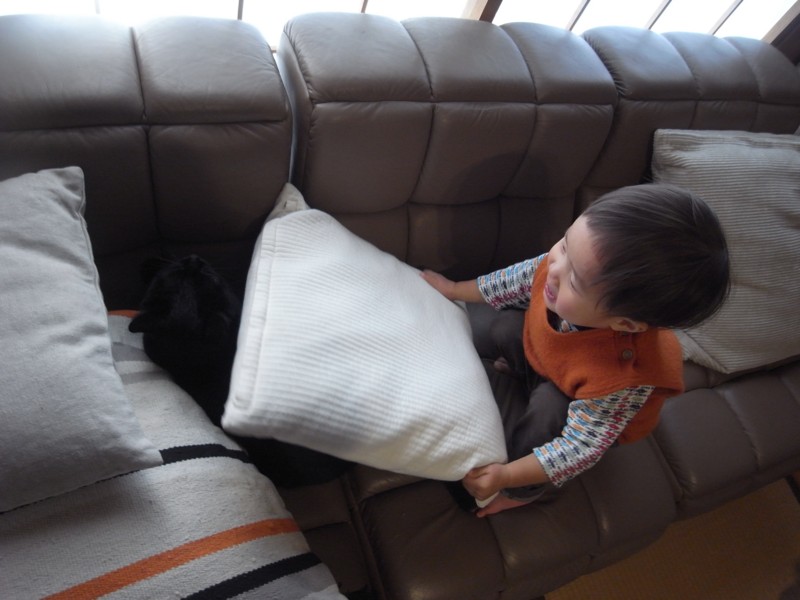 f:id:banashow:20150104110450j:image