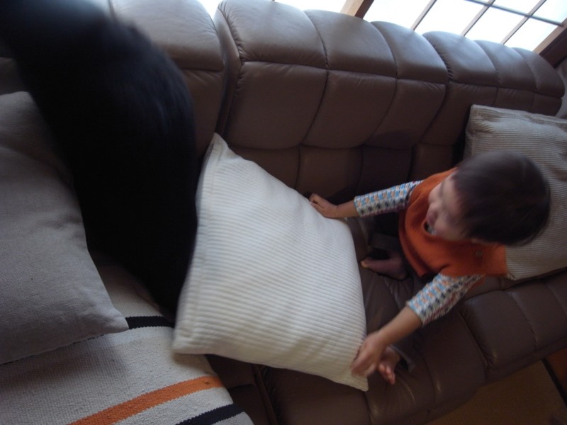 f:id:banashow:20150104110453j:image
