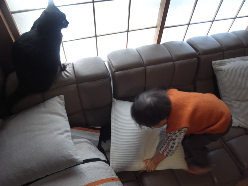 f:id:banashow:20150104110456j:image
