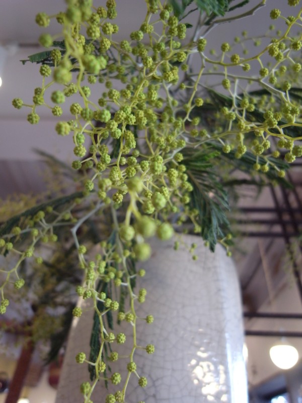 f:id:banashow:20150306145224j:image