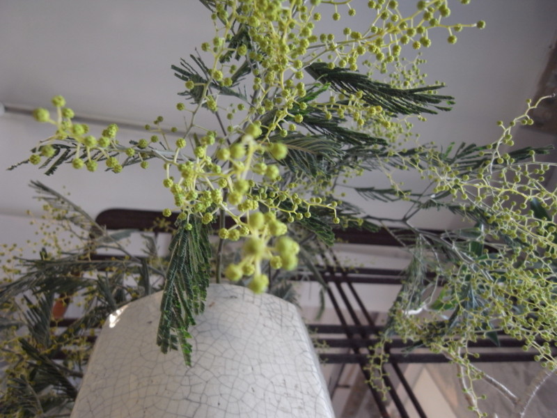 f:id:banashow:20150306145829j:image