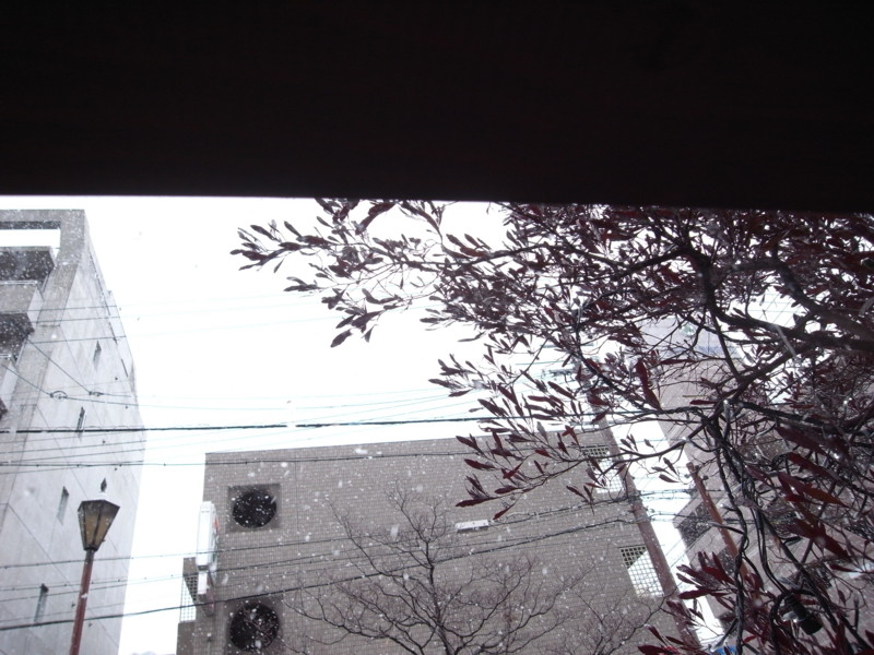 f:id:banashow:20150310163756j:image