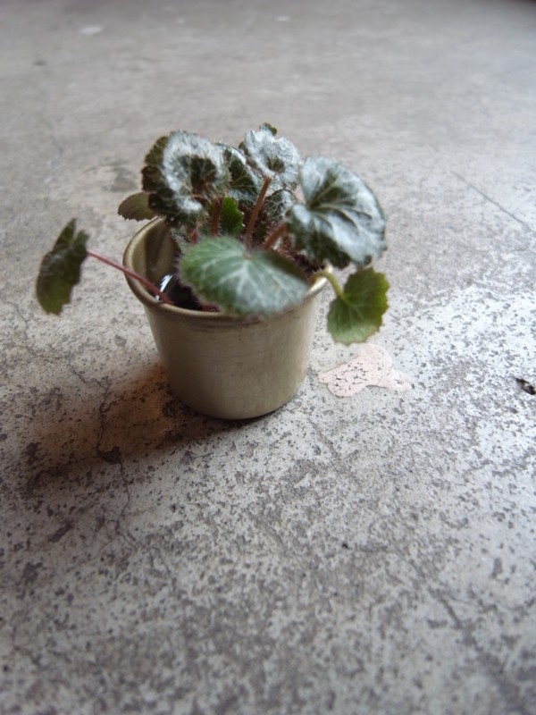 f:id:banashow:20150317152943j:image