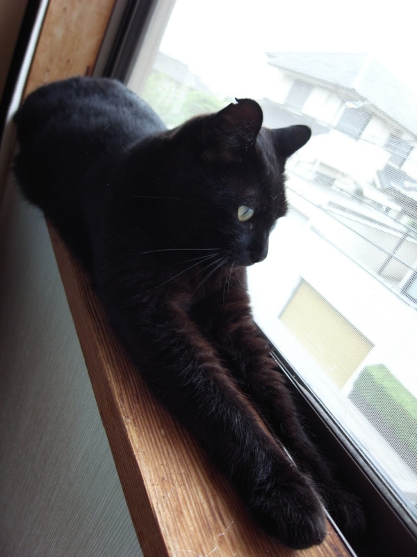 f:id:banashow:20150612154536j:image