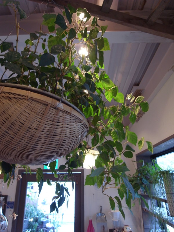 f:id:banashow:20150827170500j:image