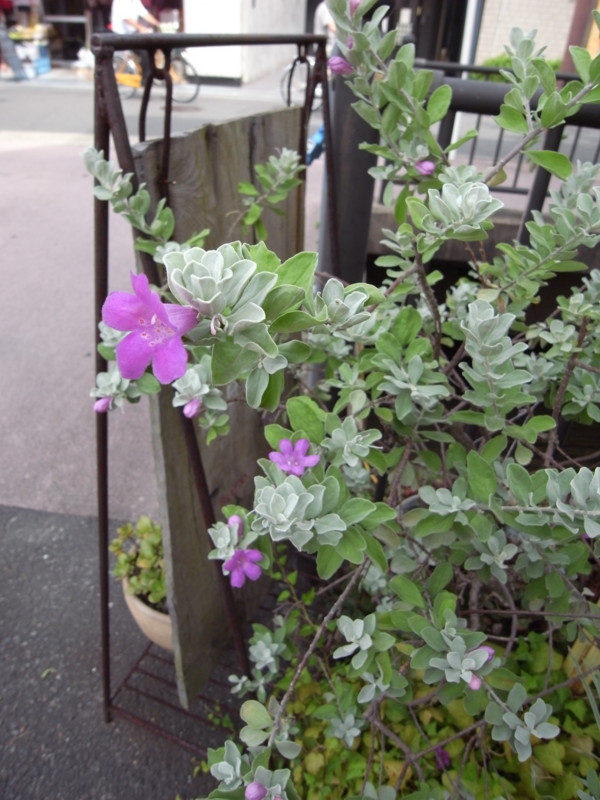 f:id:banashow:20150828153557j:image