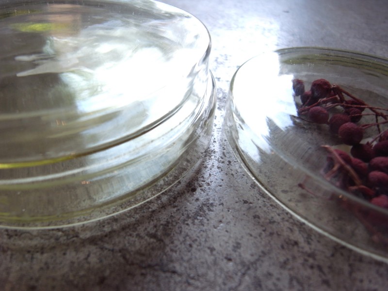 f:id:banashow:20150901141255j:image
