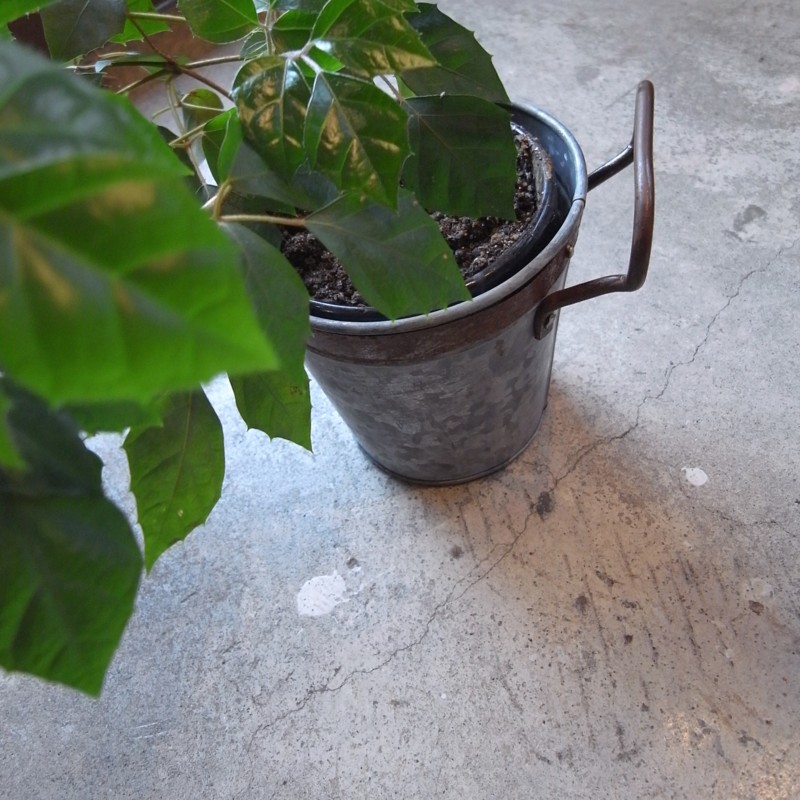 f:id:banashow:20151221151853j:image