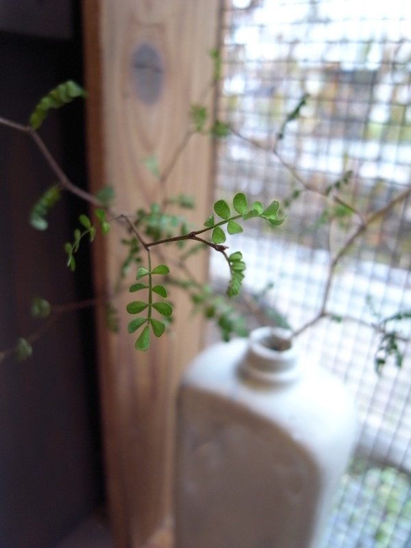 f:id:banashow:20151229121210j:image