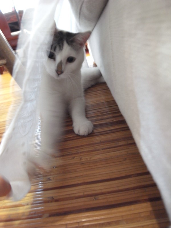 20170716130341