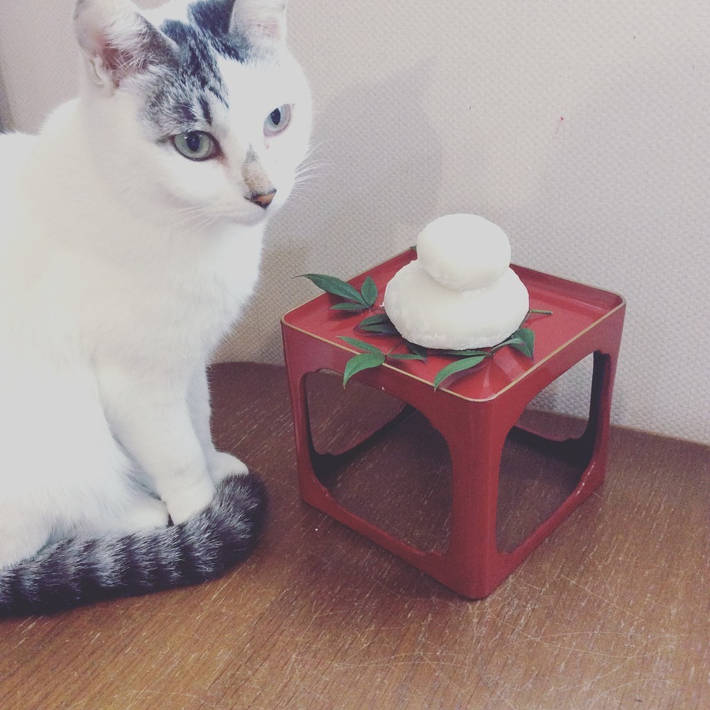 f:id:banashow:20190104133200j:plain f:id:banashow:20190104133200j:plain