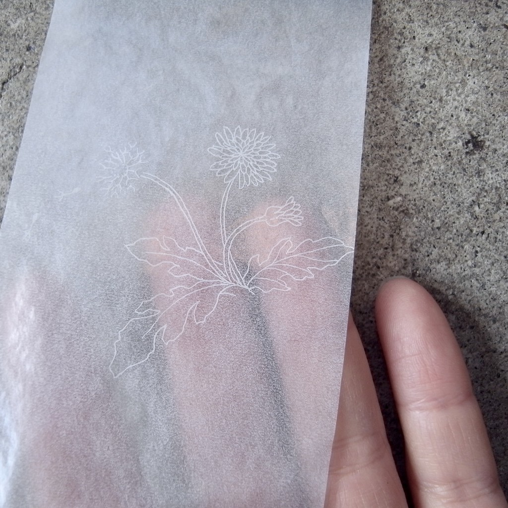 f:id:banashow:20190201150901j:plain f:id:banashow:20190201150901j:plain