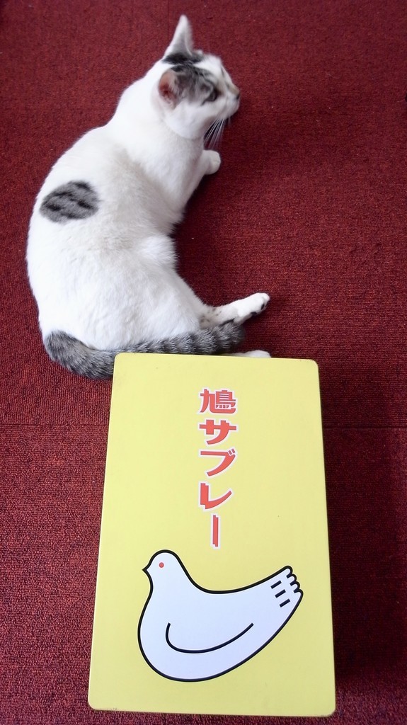 f:id:banashow:20190302140713j:plain