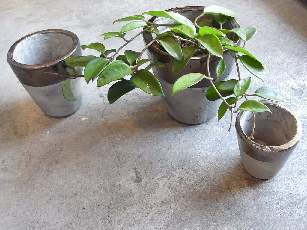 f:id:banashow:20190305141250j:plain f:id:banashow:20190305141250j:plain