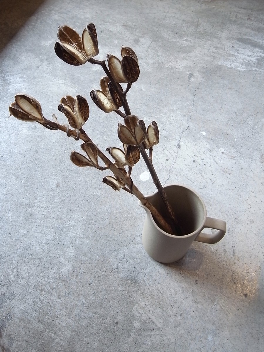 f:id:banashow:20190325144221j:plain