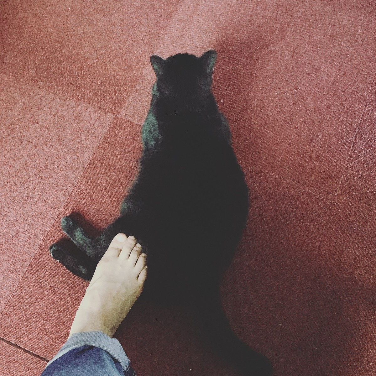 f:id:banashow:20190819150613j:plain