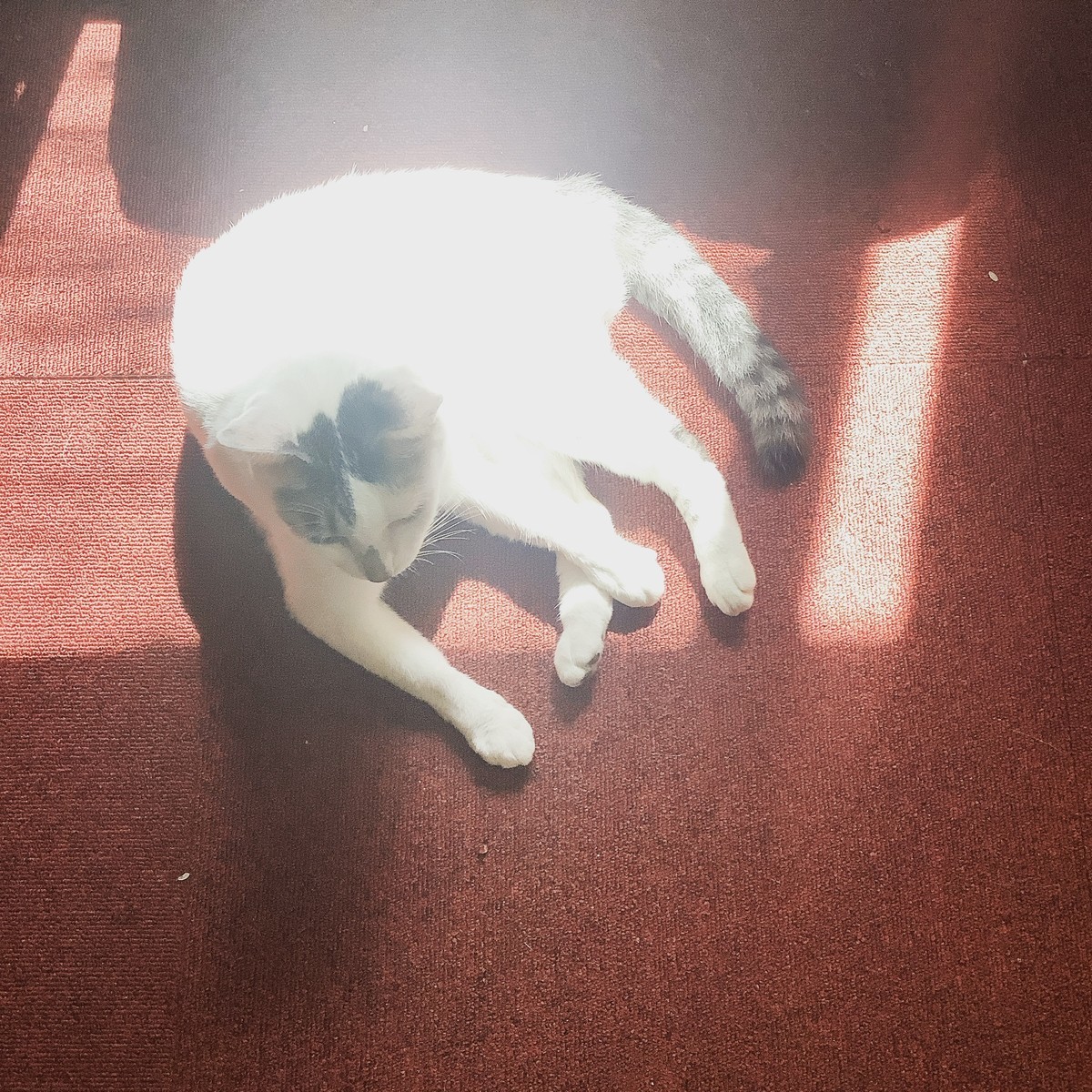 f:id:banashow:20190917132256j:plain