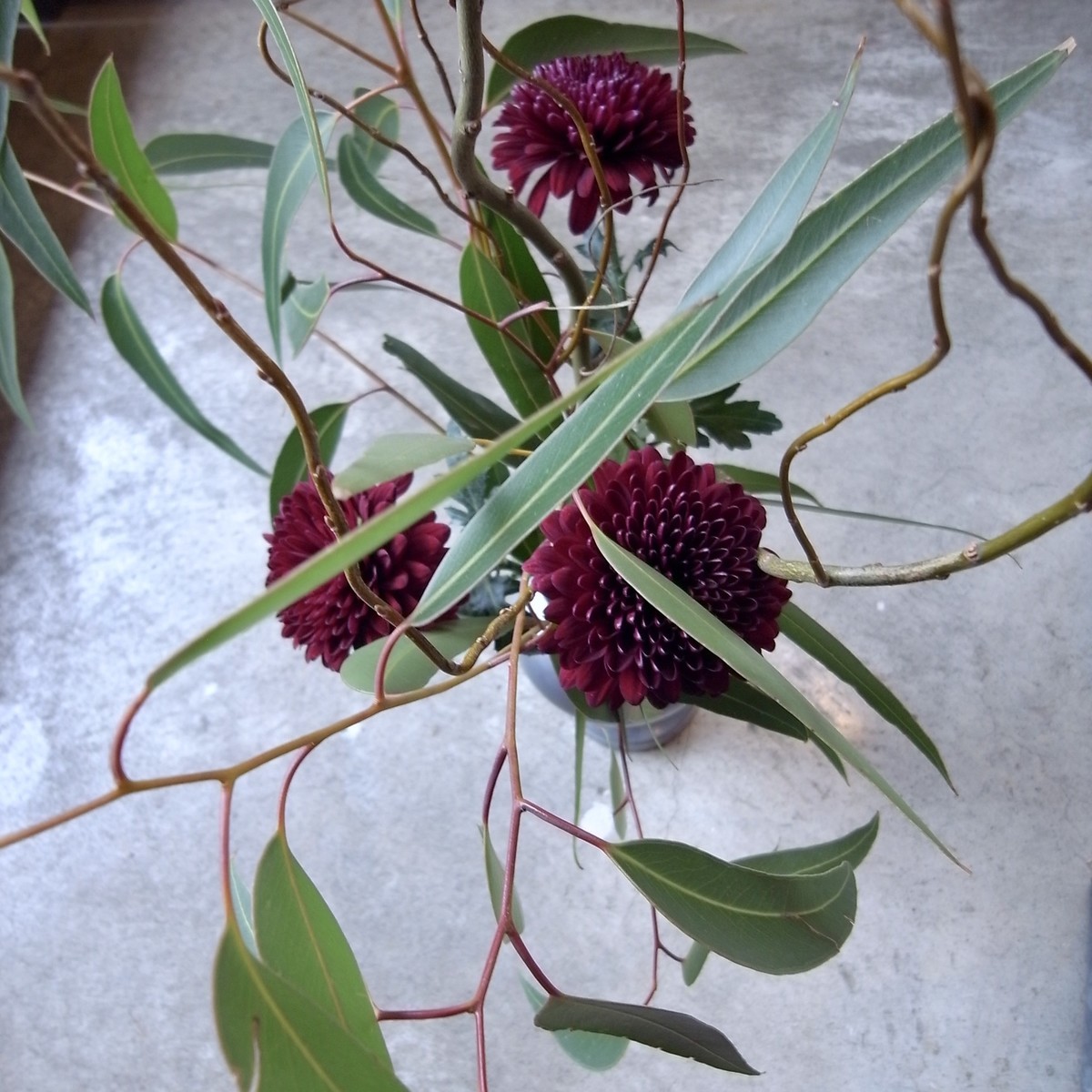 f:id:banashow:20200314122226j:plain f:id:banashow:20200314122226j:plain