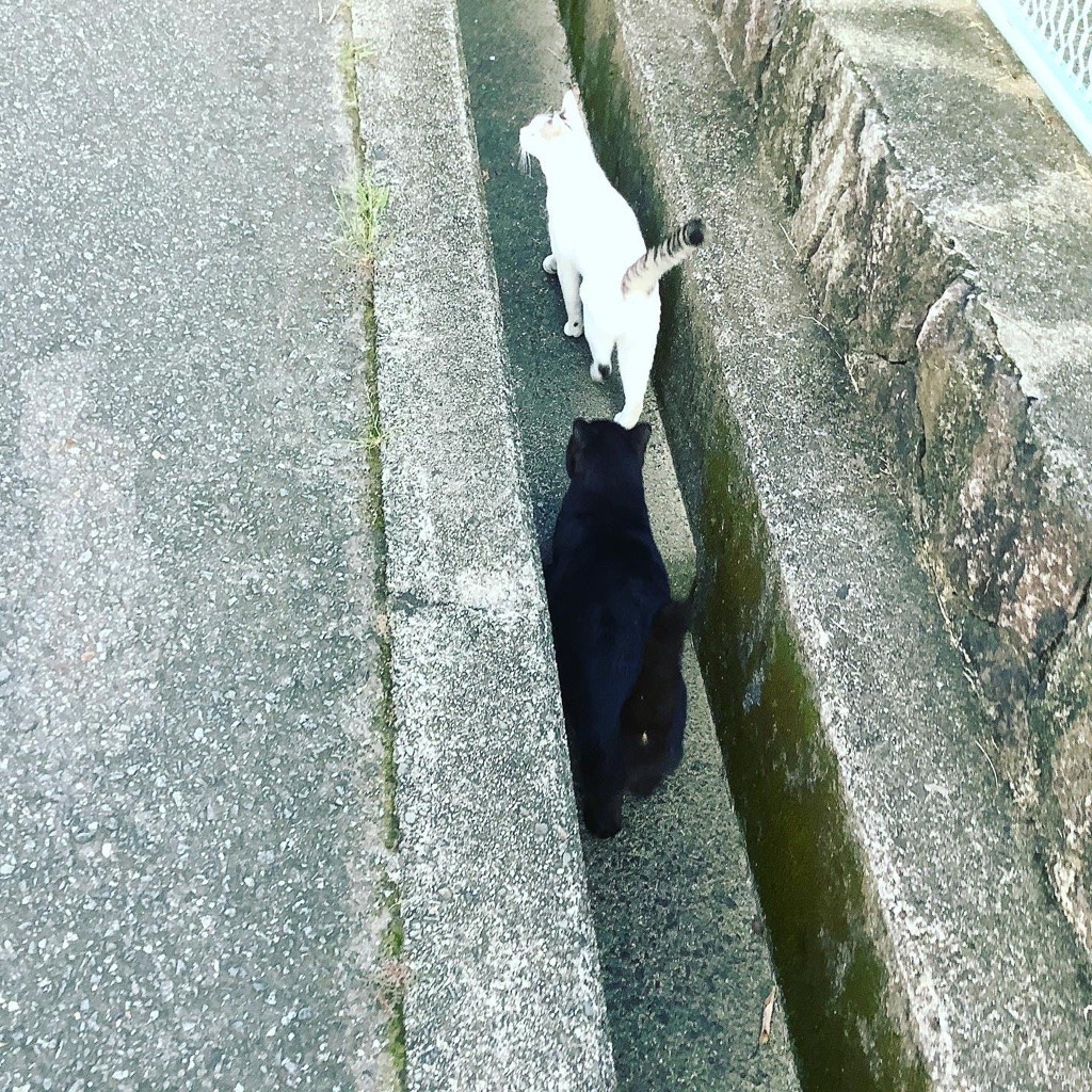 f:id:banashow:20210827162005j:plain