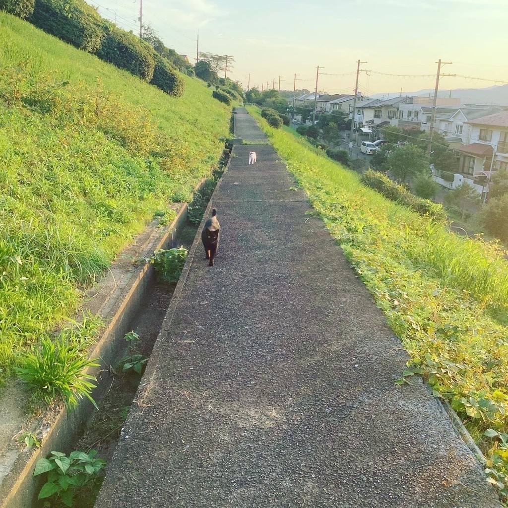 f:id:banashow:20210827162016j:plain