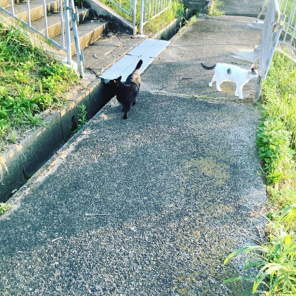 f:id:banashow:20210827162021j:plain