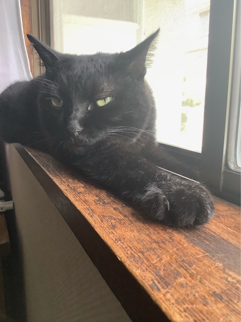 f:id:banashow:20210827162023j:plain