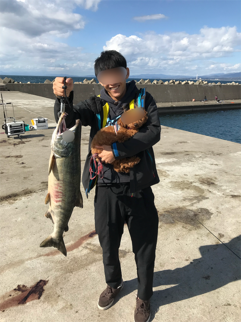 f:id:banathe:20181019163427p:image