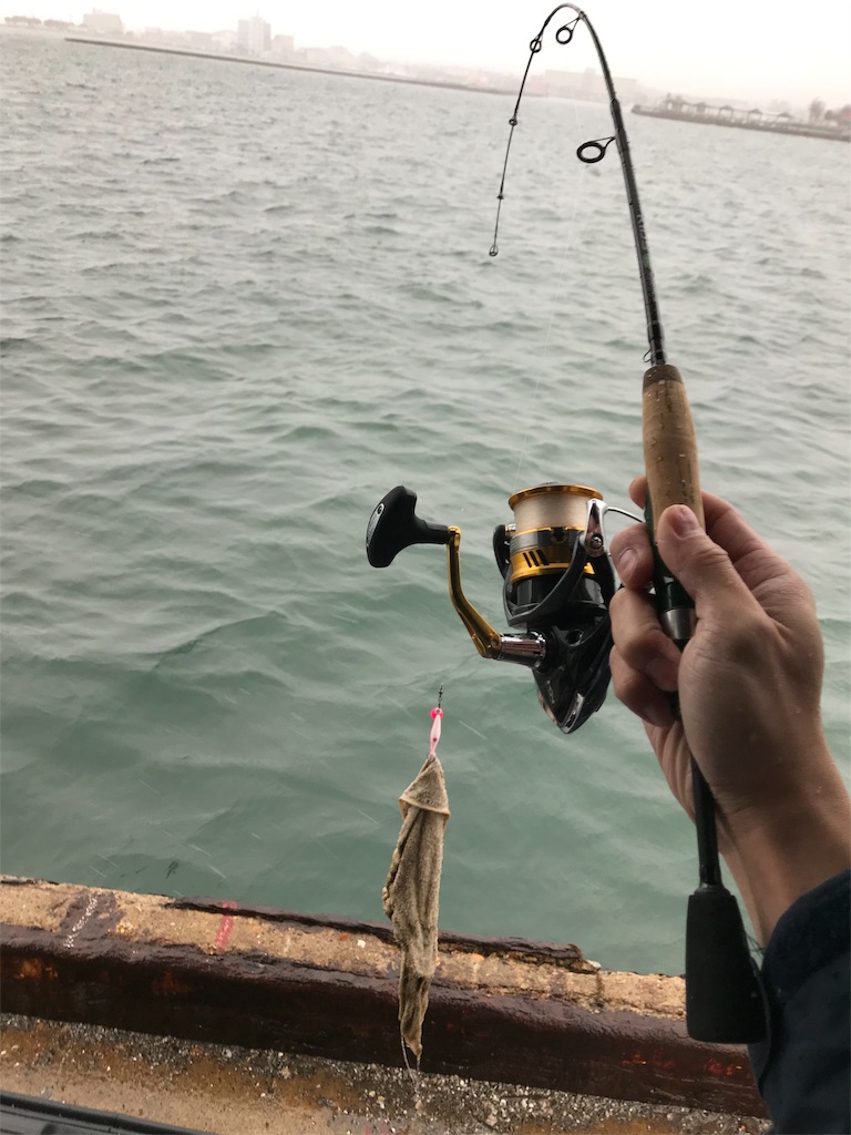 f:id:banathe:20190209164641j:image