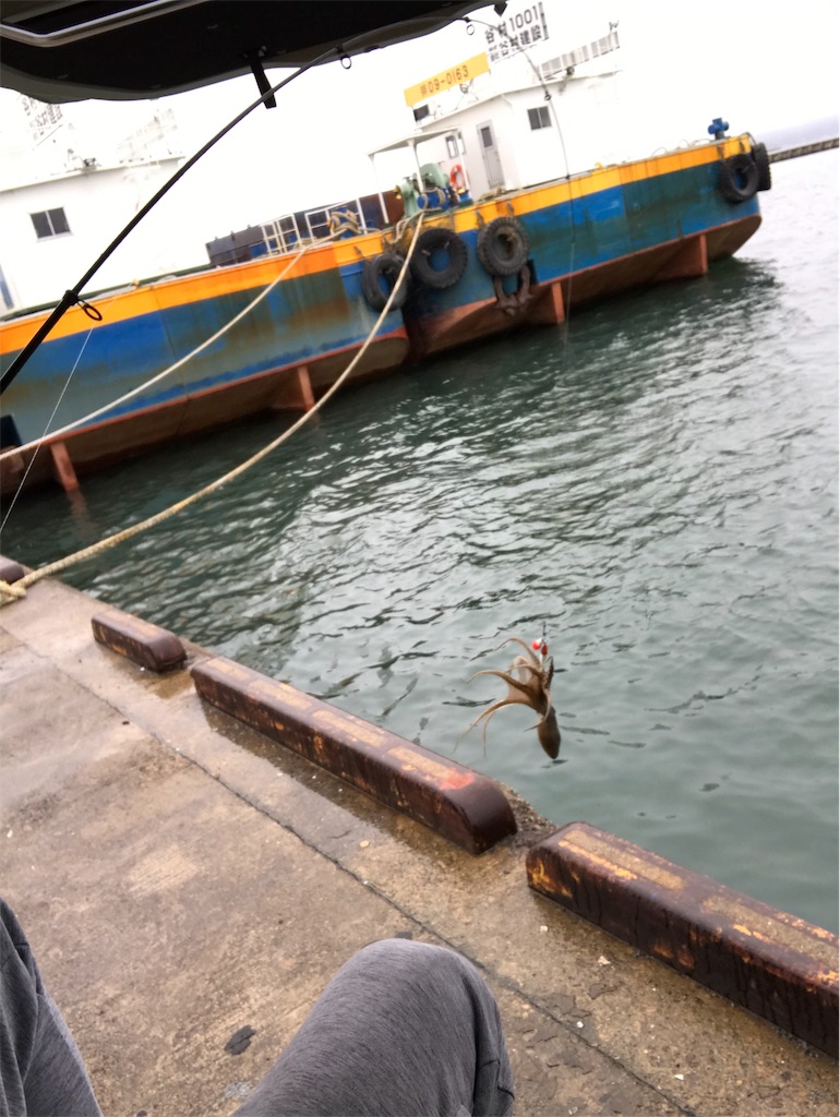 f:id:banathe:20190209164651j:image