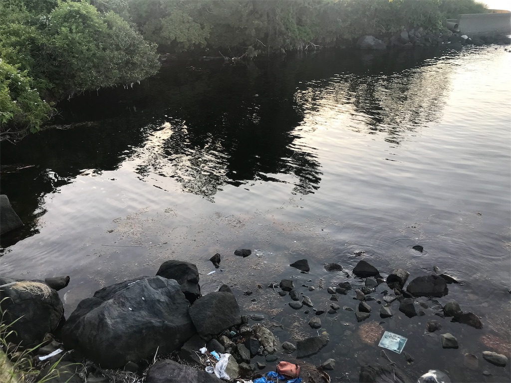 f:id:banathe:20190527104958j:image f:id:banathe:20190527104958j:image